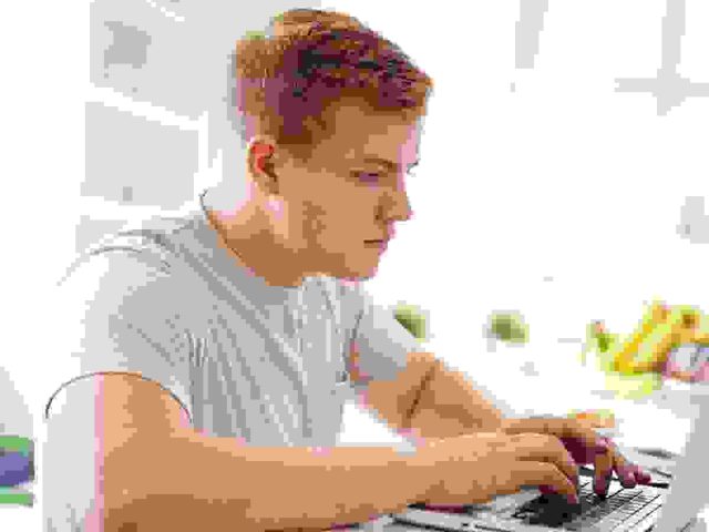 Vestibulum pellentesque metus